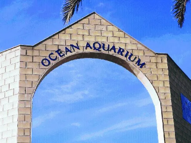 Soustis Palm Village Protaras Apartment